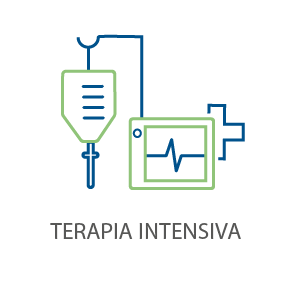 Servicio de Terapia Interna