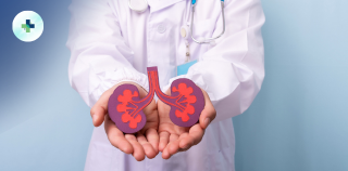 26 img urologia